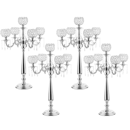 Elegant Silver Candelabra