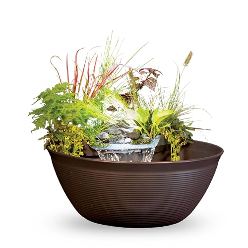 Small Backyard Pond Kit