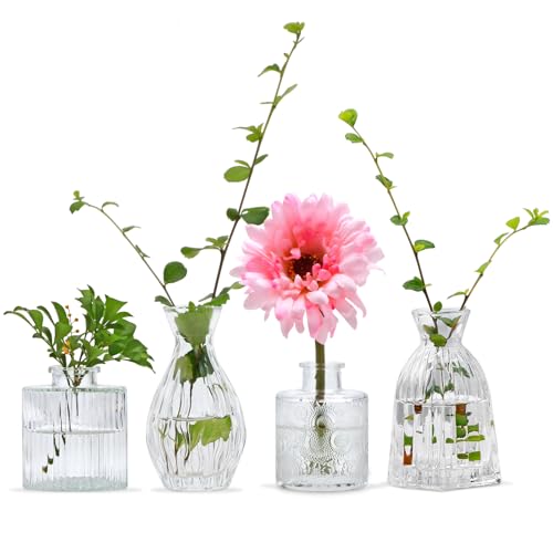 Small Glass Vase Set