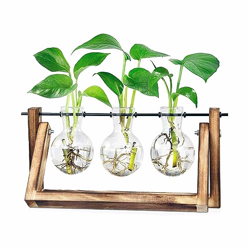 Small Glass Vase Trio