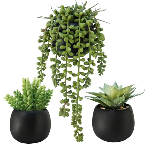 Miniature Indoor Plants
