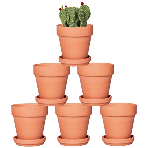 Small Terracotta Flower Pots