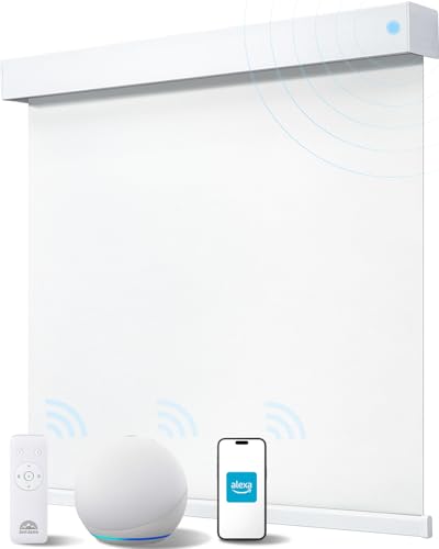 Smart Home Compatible Window Blinds