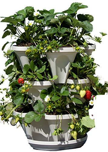 Tiered Planters