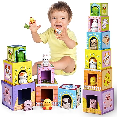 Stacking and Matching Plaything