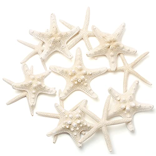 Starfish Craft Embellishments