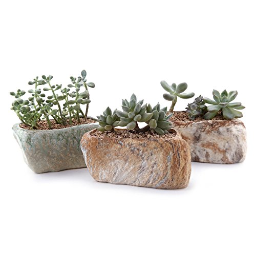 Stone Succulent Planters