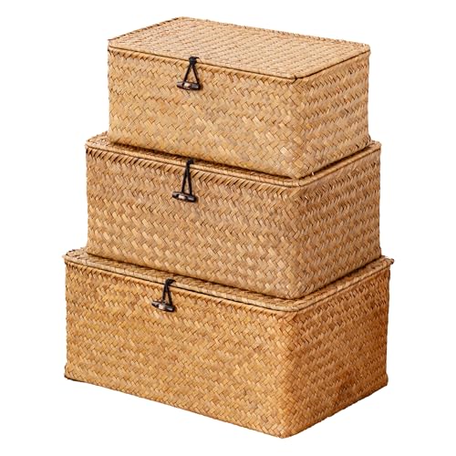 Storage Baskets with Lids