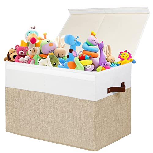 Storage Bins with Lids