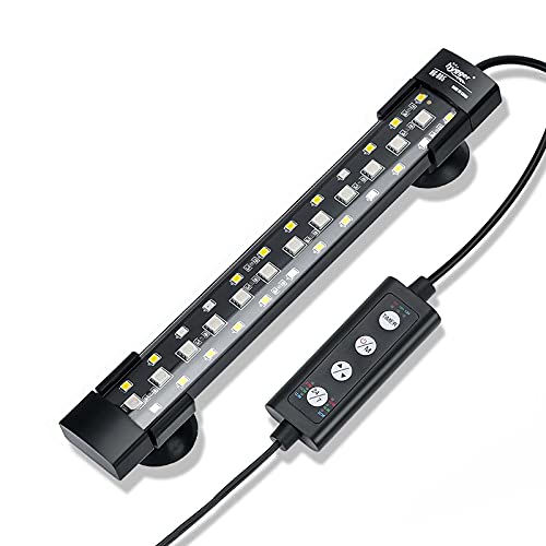 Submersible LED Light