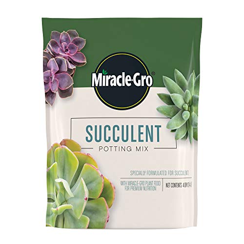 Organic Succulent Growing Medium