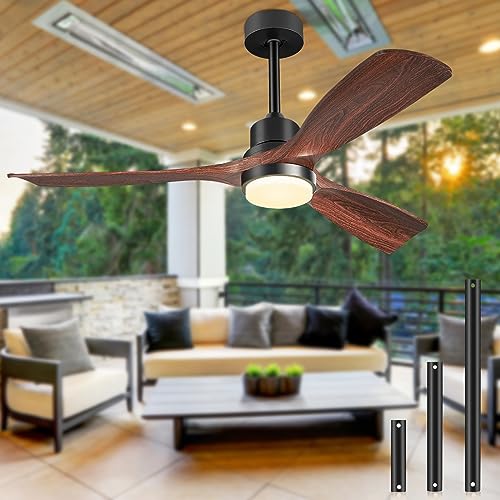 Sunroom Ceiling Fan with Light