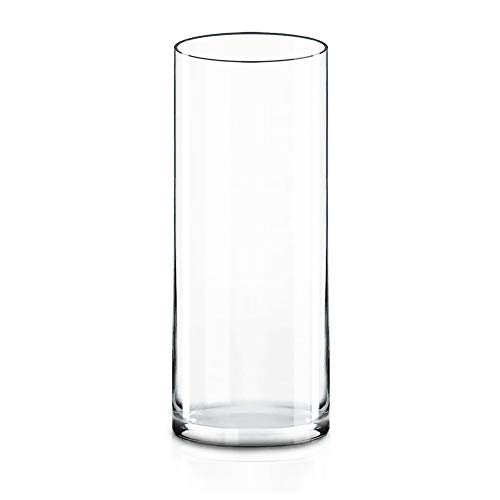 Tall Glass Vase