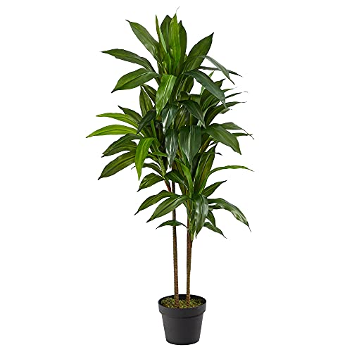Tall Potted Plant