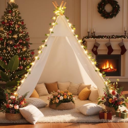 Cozy Teepee Tent