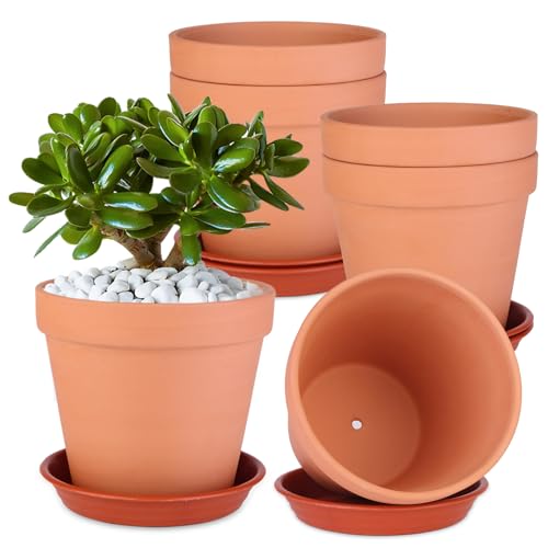 Terracotta Plant Pots
