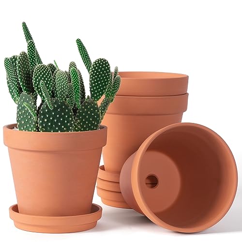 Terracotta Planter Collection