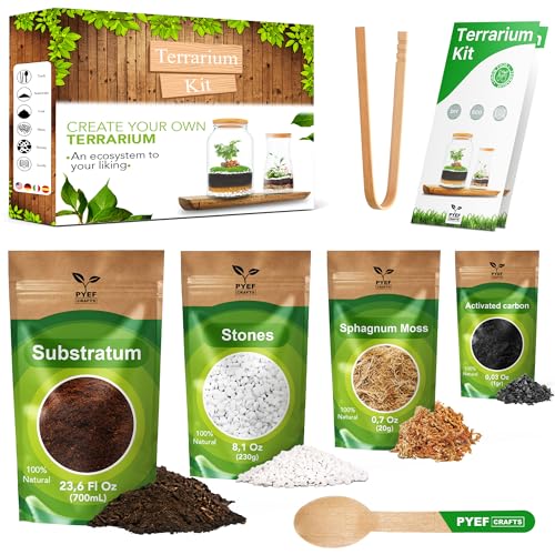 Terrarium Kit with Soil and Plants