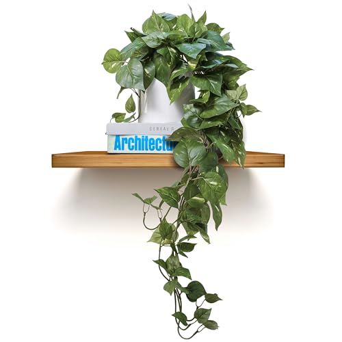 Trailing Artificial Plants