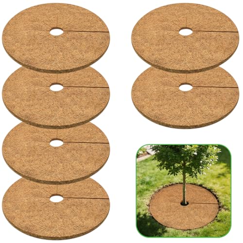 Ground Embrace Tree Mat
