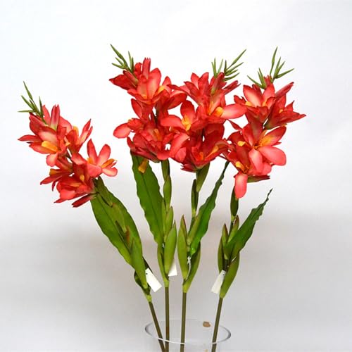 Tropical Poolside Plants