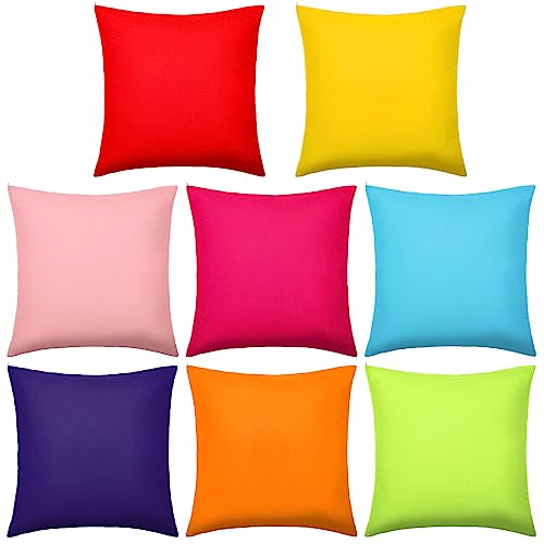 Vibrant Outdoor Throw Pillows