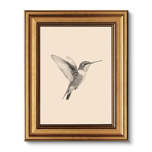 Framed Vintage Art Prints