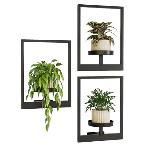 Wall Hanging Plant Holders