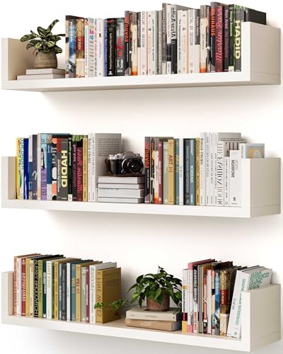 Wall-Affixed Bookshelf