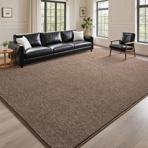 Warm Brown Area Rug