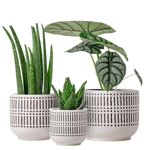 Warm Tone Ceramic Planters