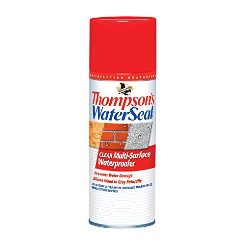 Weatherproof Paint Sealer