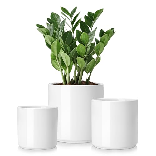 Minimalist Plant Container