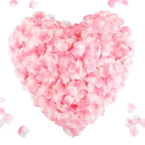 White and Pink Flower Petals
