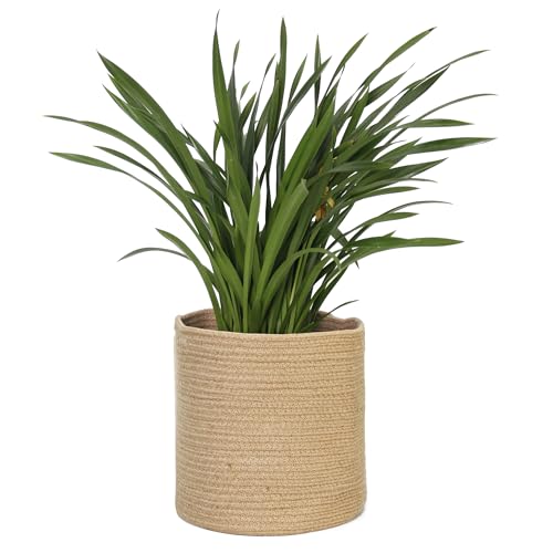 Wicker Basket Planters