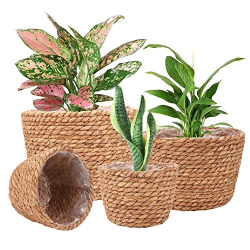 Decorative Woven Plant Baskets